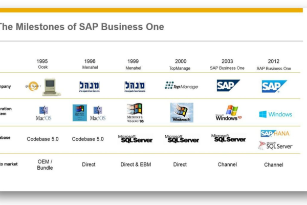 sap b1 companies